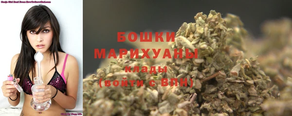 ГАЛЛЮЦИНОГЕННЫЕ ГРИБЫ Гусев