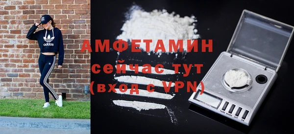 ГАЛЛЮЦИНОГЕННЫЕ ГРИБЫ Гусев
